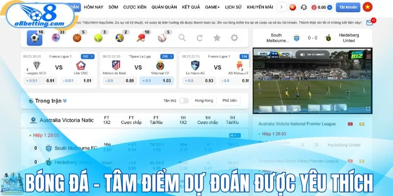 Bóng đá - Tâm điểm dự đoán được yêu thích